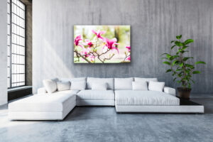 Artrooms website