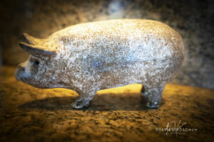 McCarty Pig in Morning Light Still-life photo for sale