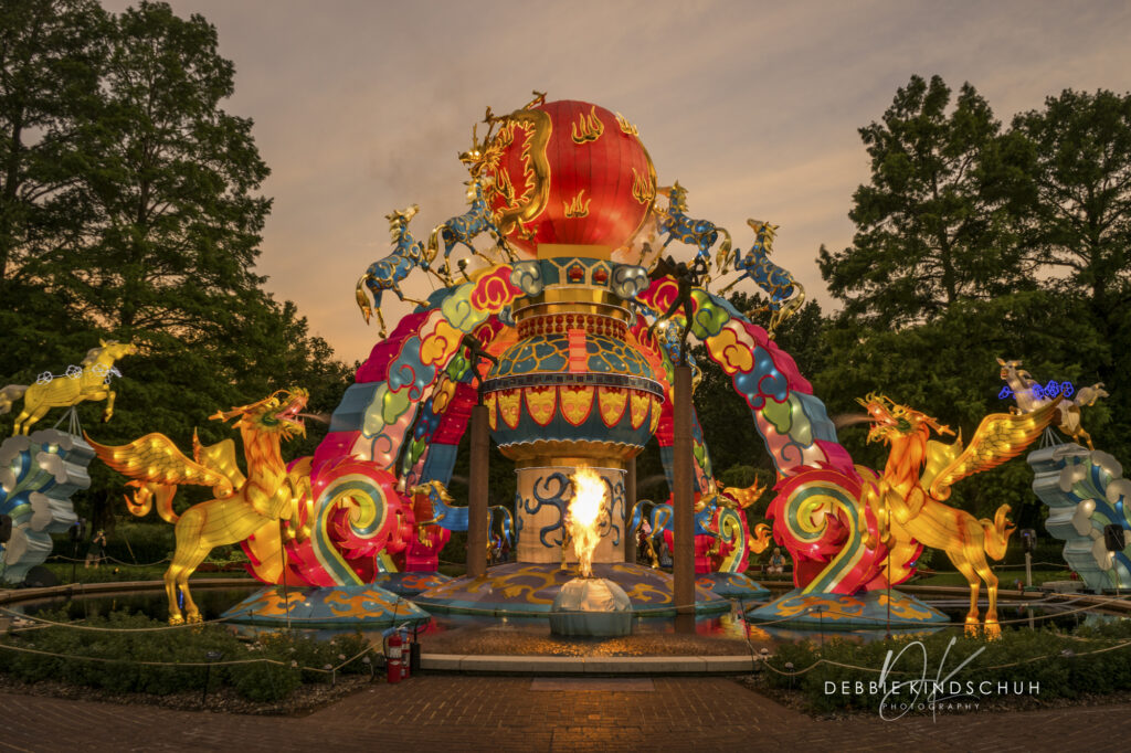 Japanese Lanterns photo for sale