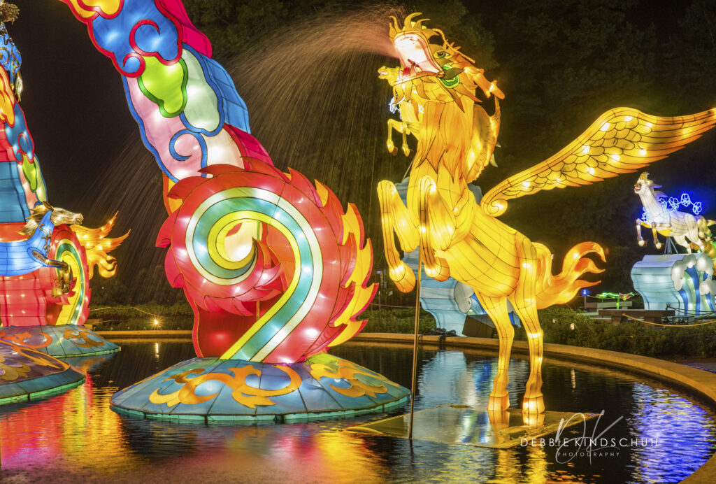 Japanese Lanterns photo for sale