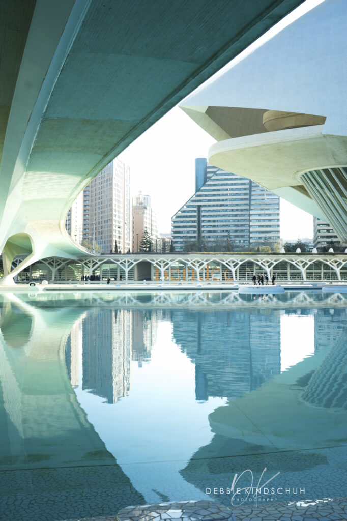 City of Arts and Science, Ciudad de las Artes y las Ciencias