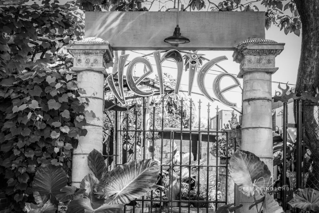 Venice Cafe Garden Gate black and white photo for sale