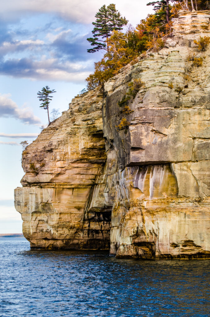 Lone tree Pictured Rocks photo for sale