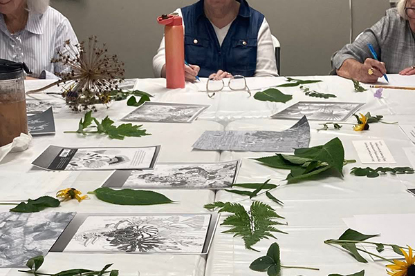 Gallery Art Classes 600x400