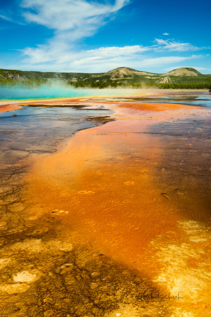 Grand Prismatic Spring Yellowstone photo for sale