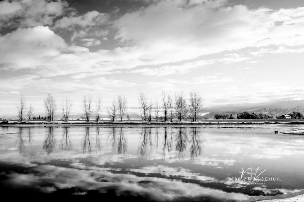 Mountain Lake in Colorado black and white photo for sale