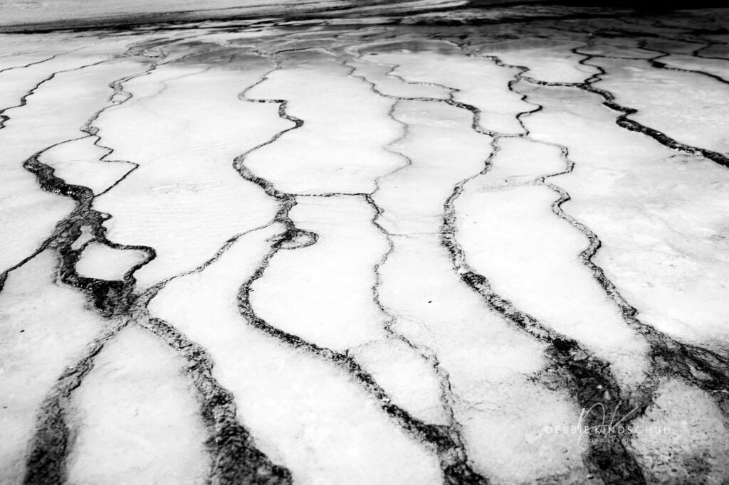 Yellowstone B&W 2 photo for sale