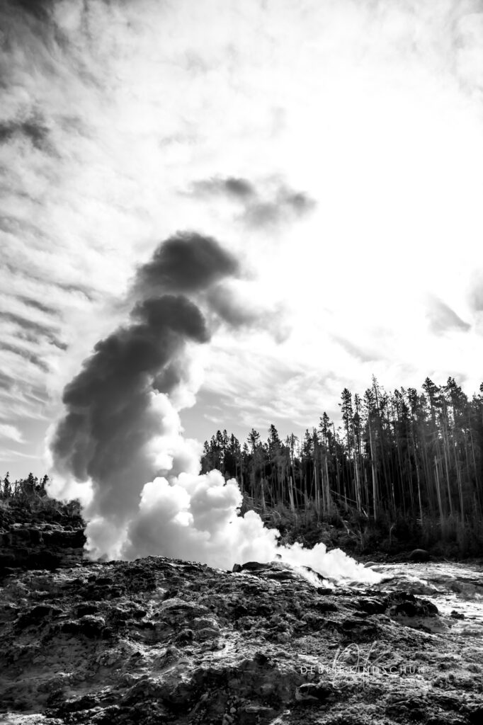 Yellowstone B&W photo for sale