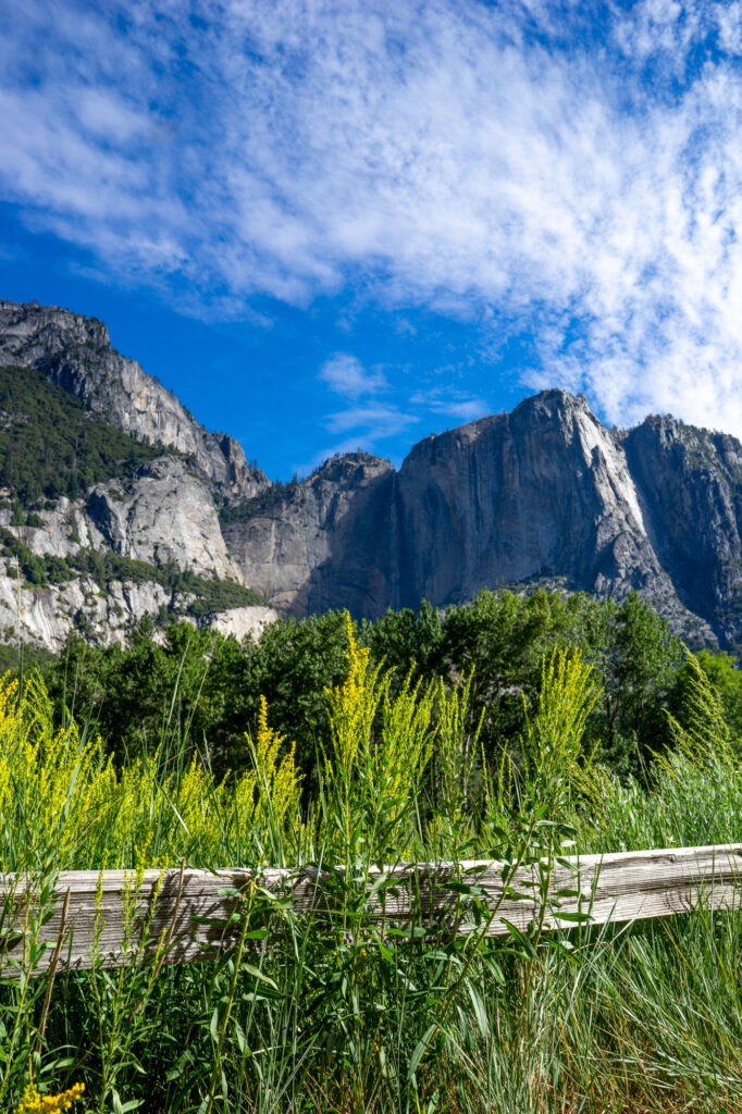 Yosemite NP landscape photo for sale