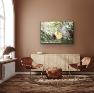 artroom bottlebrush in brown