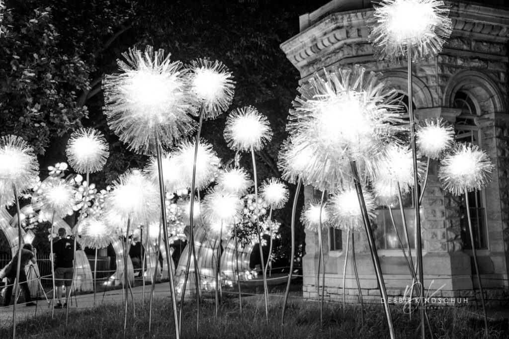 Japanese Lanterns B&W photo for sale